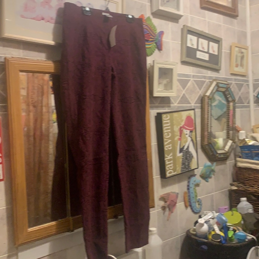 Cache Pants - image 1